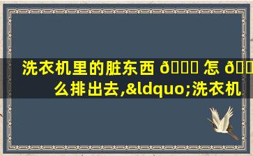 洗衣机里的脏东西 🐈 怎 🐯 么排出去,“洗衣机里面的脏东西怎样清理”